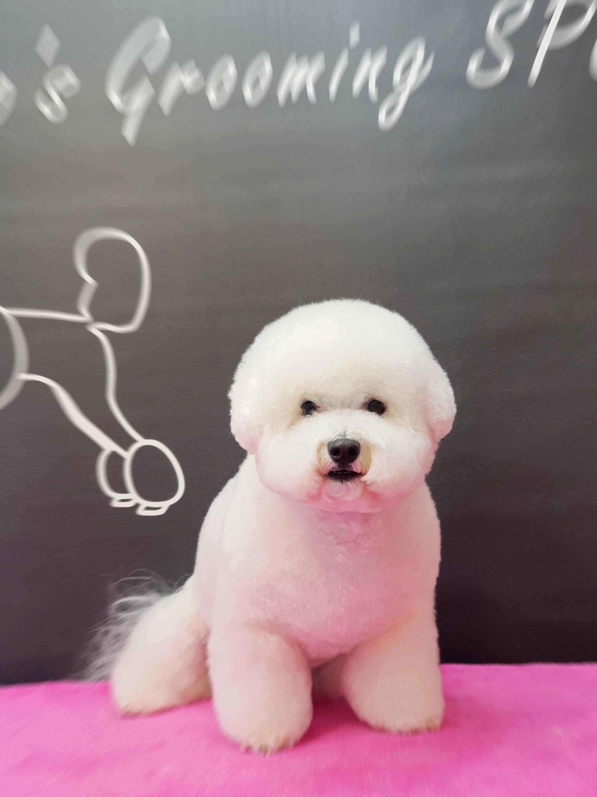 Grooming VetSpot 5