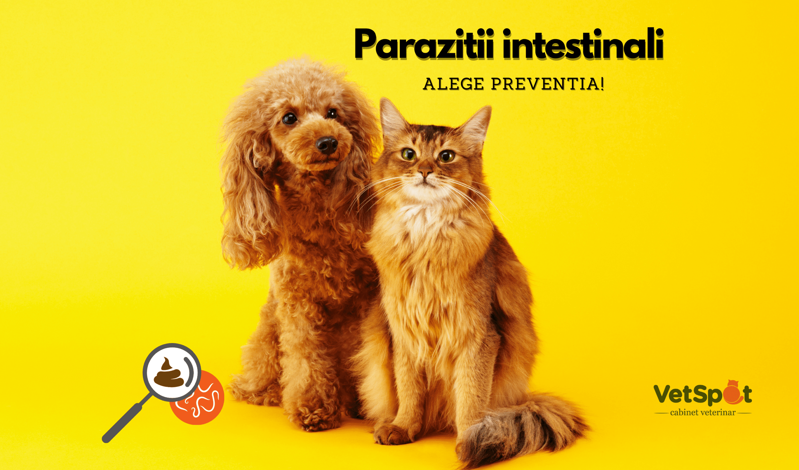 Parazitii intestinali