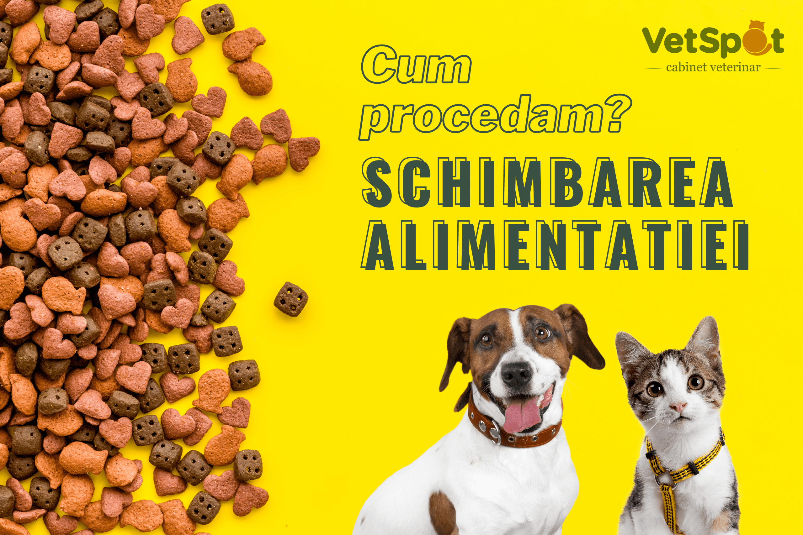 Cum schimbam hrana cainelui/pisicii?